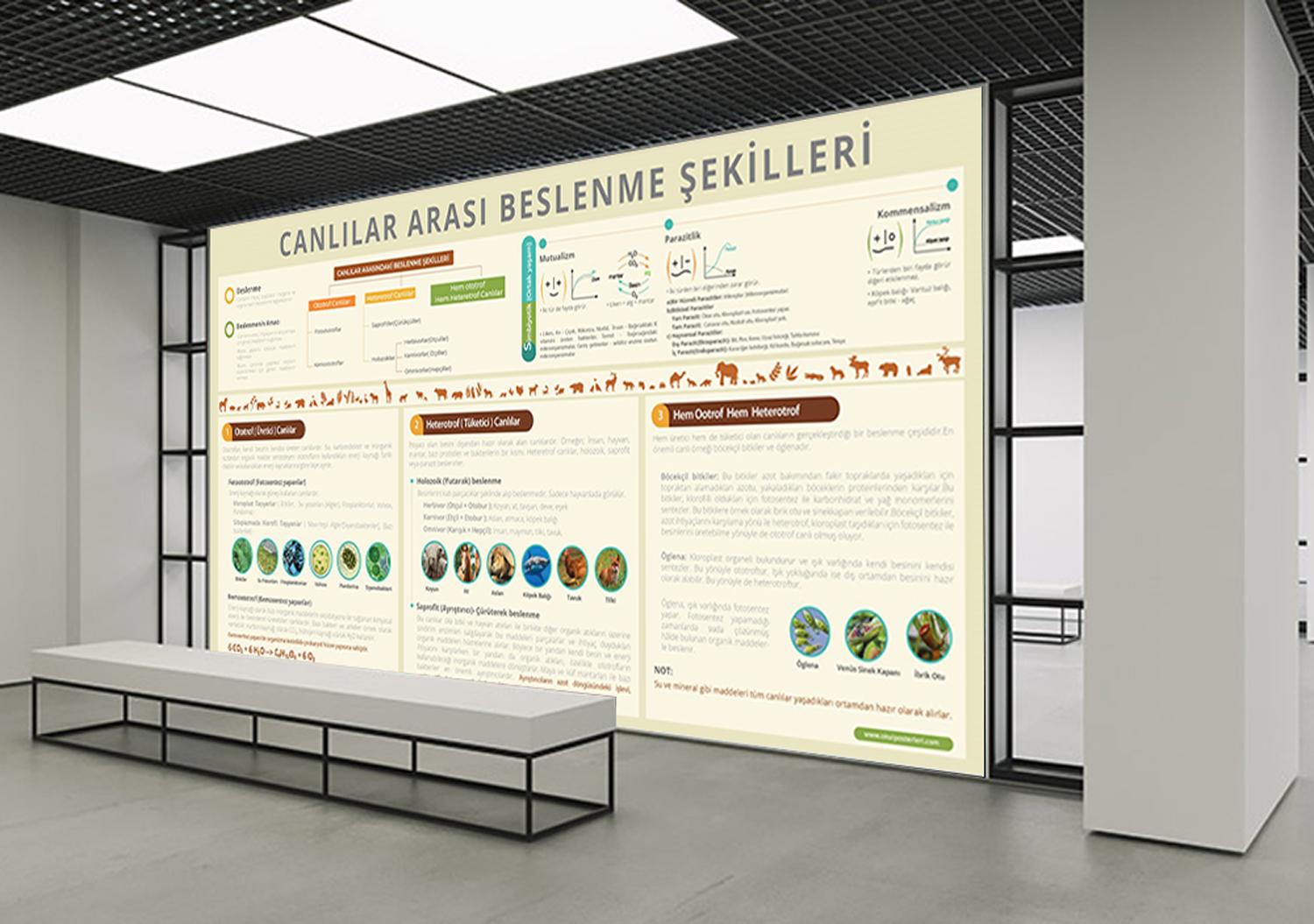 Canlılar Arası Beslenme Şekilleri Biyoloji Posteri