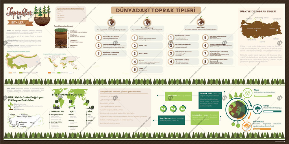 Dünyadaki Toprak Tipleri Okul Posteri 