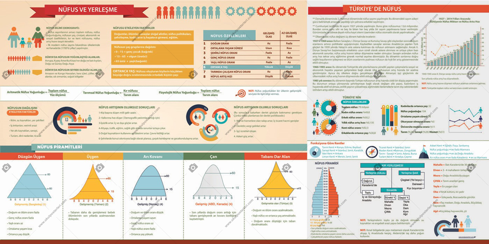 Nüfus ve Yerleşme Coğrafya Posteri